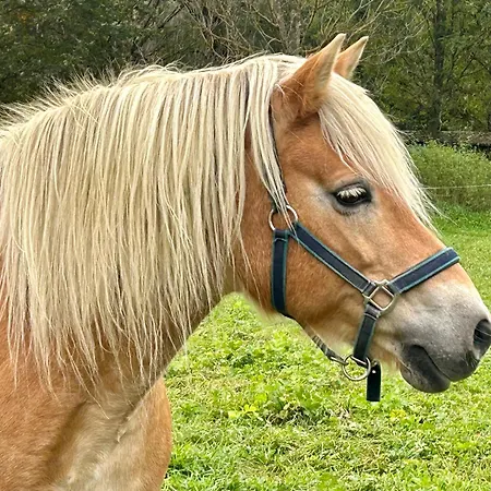 Sonilife Zentral & Naturnah *