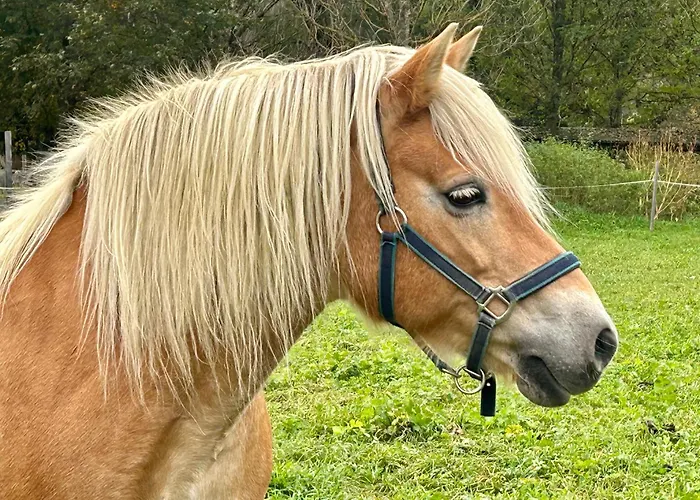 Sonilife Zentral & Naturnah *