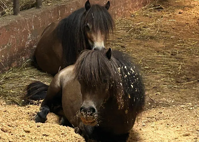 Sonilife Zentral & Naturnah 오버벨라흐